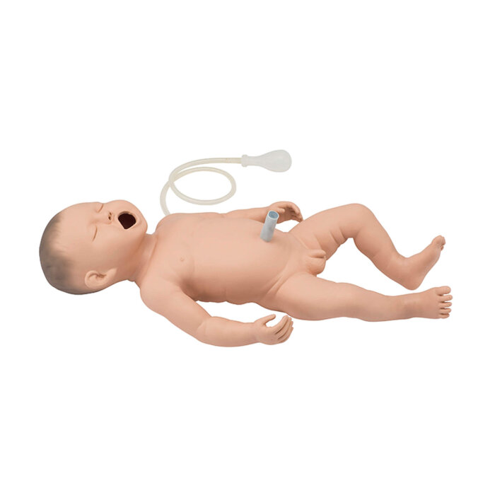 Erler-Zimmer Intubations und Wiederbelebungs Modell Neugeborenes